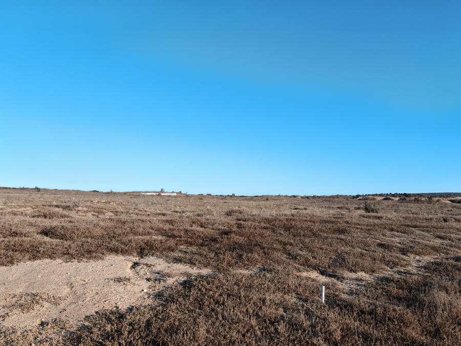 0 Bedroom Property for Sale in Langebaan Country Estate Western Cape